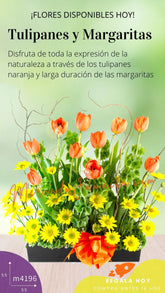 Arreglo Floral